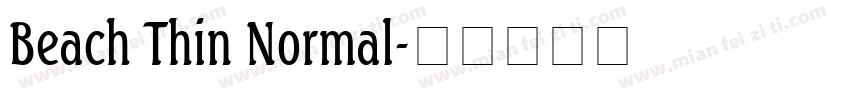 Beach Thin Normal字体转换